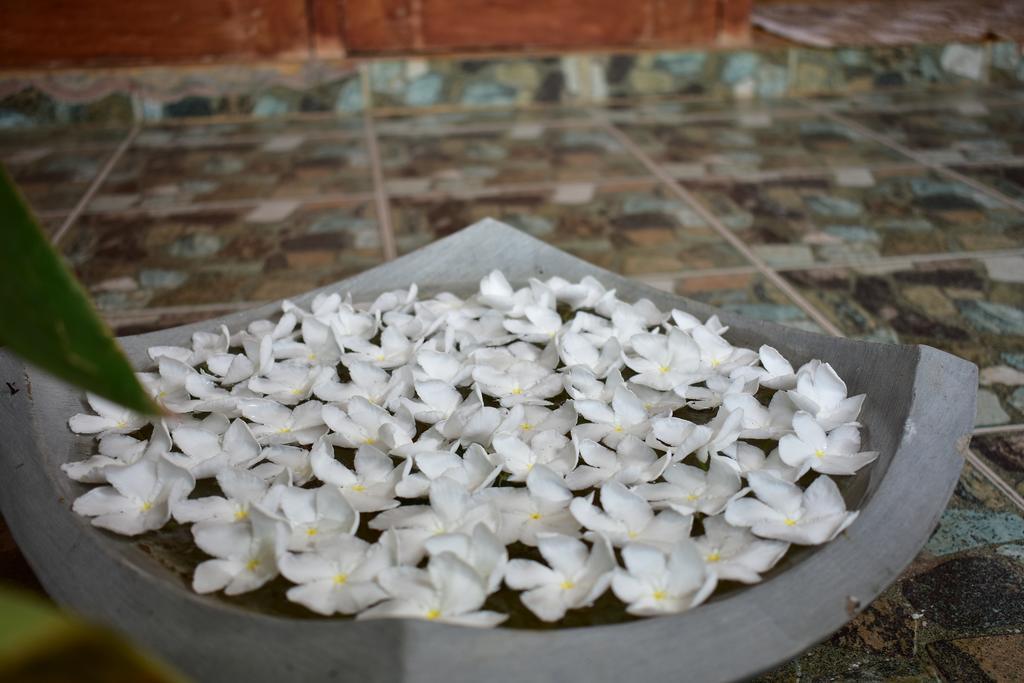 Villa Aroshina With Cooking Class Galle Exteriér fotografie